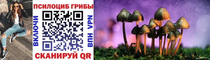 Псилоцибиновые грибы ЛСД  Верхняя Салда 